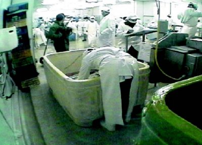 industria salmon (19)  ALIMENTOS MERCADO